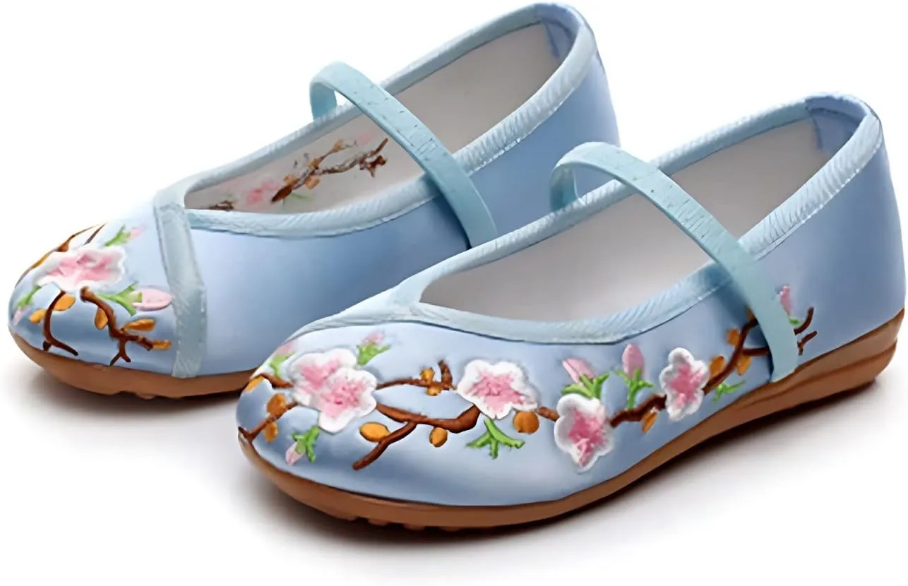 Chinese Traditional Embroidered Shoes Girls with Hanfu Ancient Costume Daily Performance Embroidered Canvas Shoes